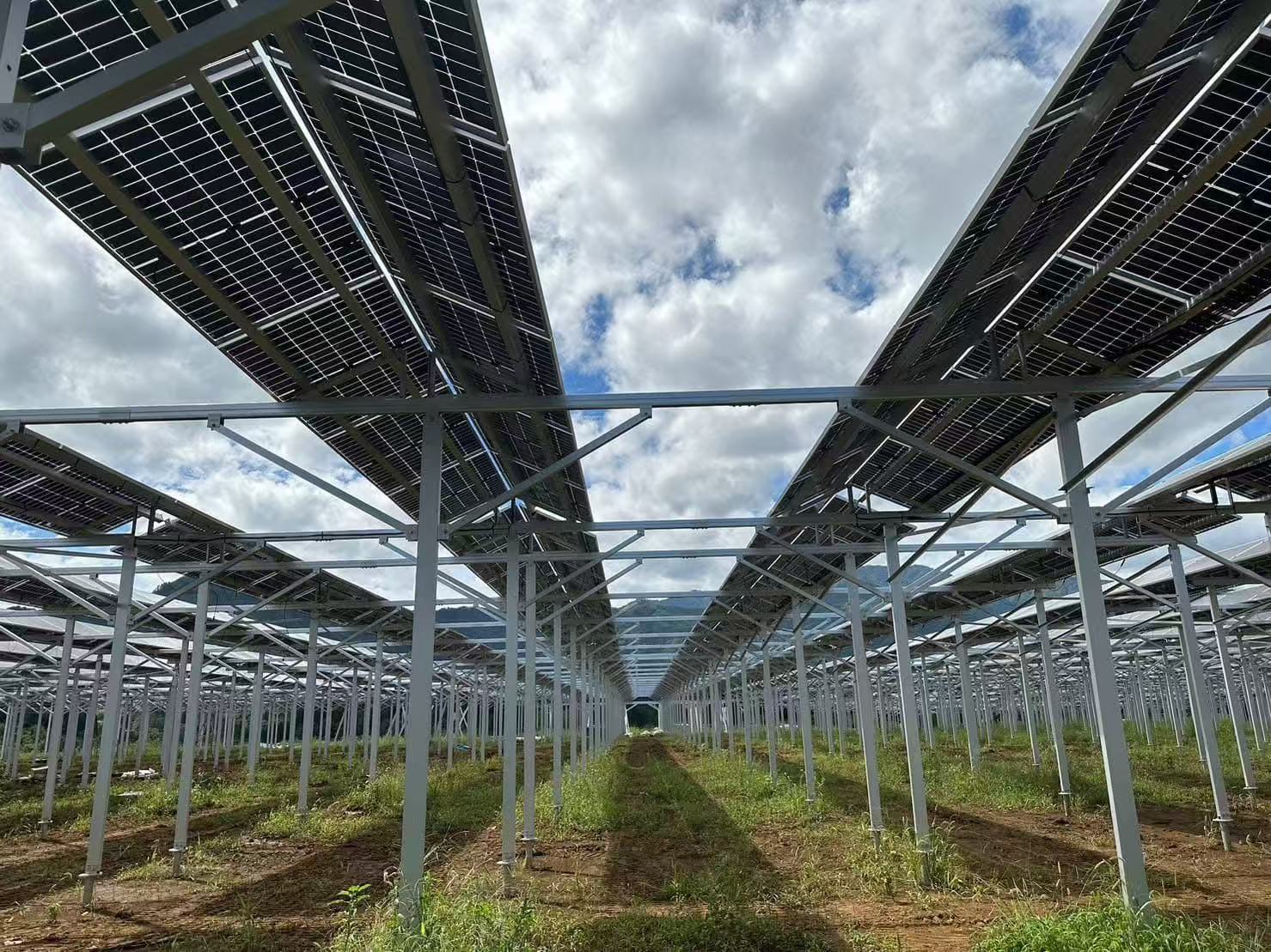 Buntáistí a bhaineann le tacaíocht sheid talmhaíochta